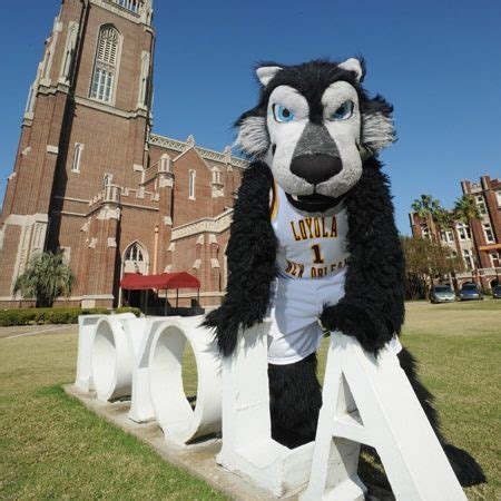Innovative Advertising: The Havoc Mascot Campaign Goes Viral